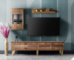 TV UNIT